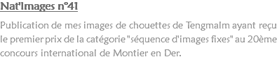 Nat'Images n°41 Publication de mes images de chouettes de Tengmalm ayant reçu le premier prix de la catégorie "séquence d'images fixes" au 20ème concours international de Montier en Der. 